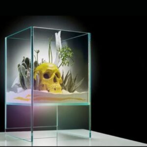glass terrarium display box, handcrafted clear aquarium tank for plants, modern home decor (12 length 12 width 6 height)(glass tank only) (copy)